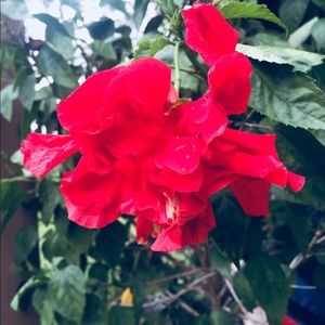 Meet your Posher, Addison